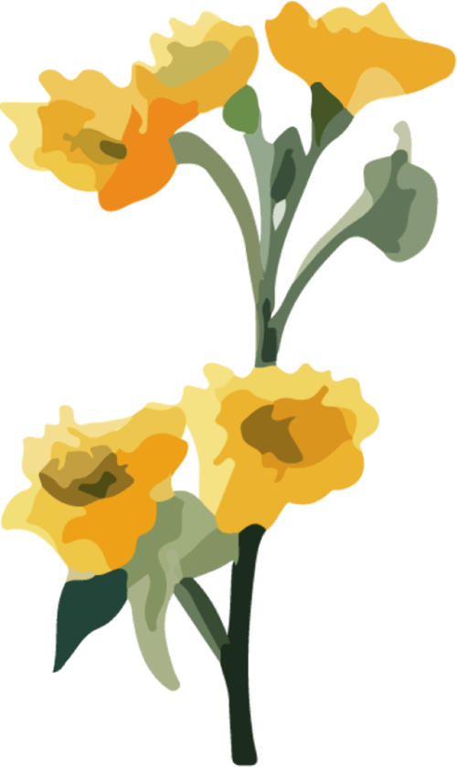 黄色い花のイラスト