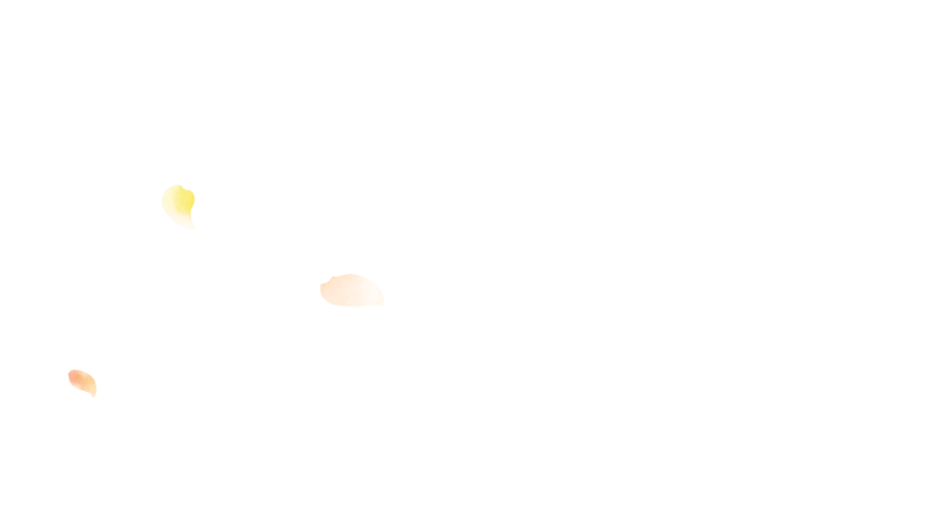 花びらのイラスト