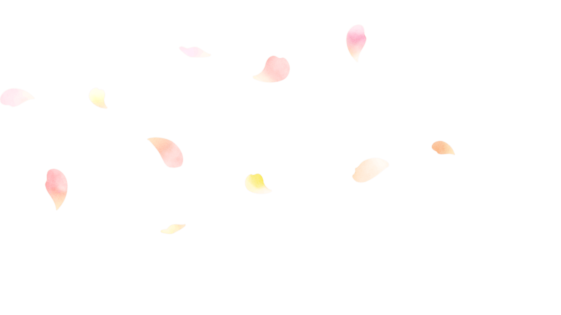 花びらのイラスト